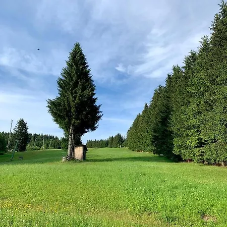 Hotel Das Alpl Resort Krieglach