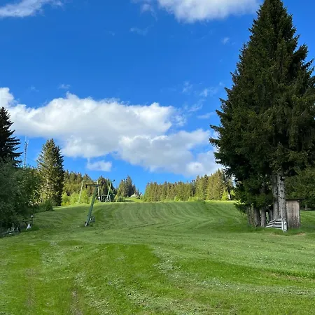 Das Alpl Resort