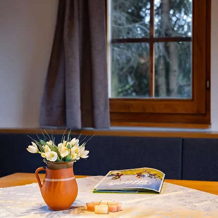 Alpl Hotel Krieglach